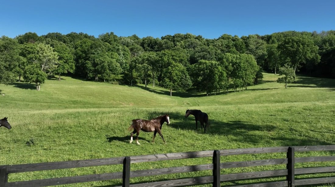 Farm Ranch in Nolensville, Tennessee, United States 3 - 14978240
