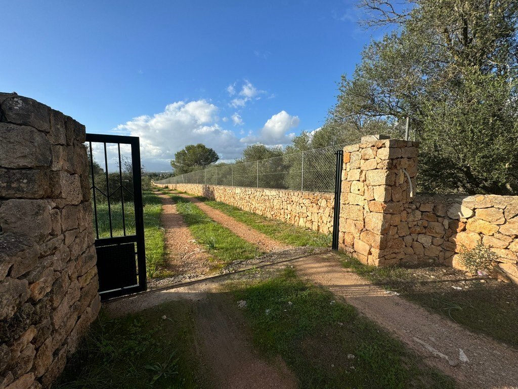 Terrain à Marratxí, Îles Baléares, Espagne 1 - 14974794