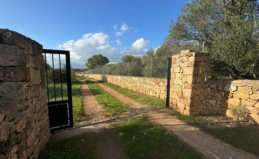 Terreno a Marratxí, Isole Baleari, Spagna 1