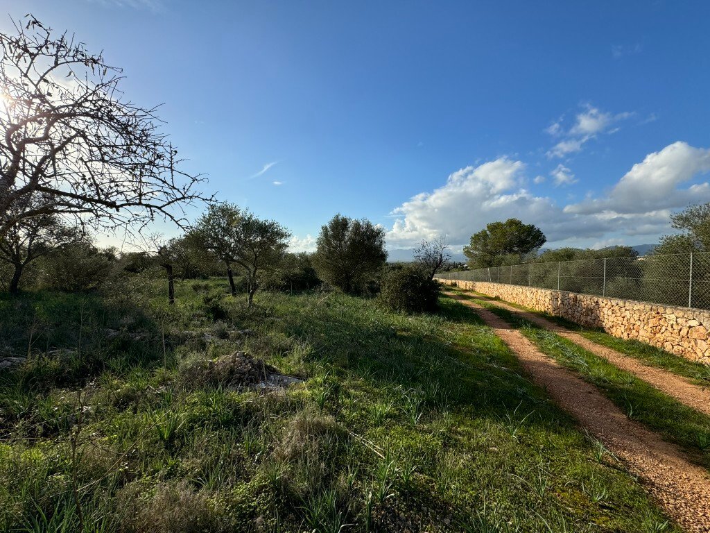 Terrain à Marratxí, Îles Baléares, Espagne 5 - 14974794