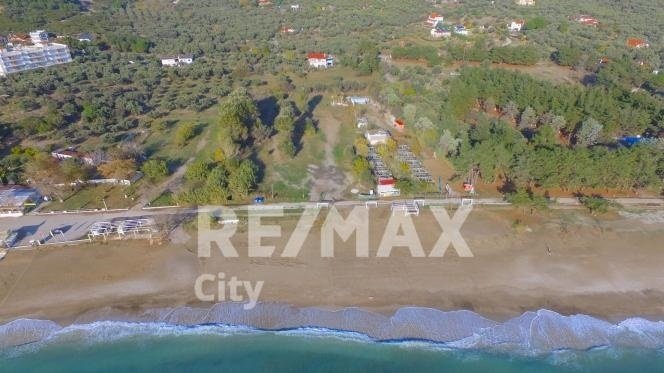 Land in Alexandroupoli, Macedonia and Thrace, Greece 5 - 14976538