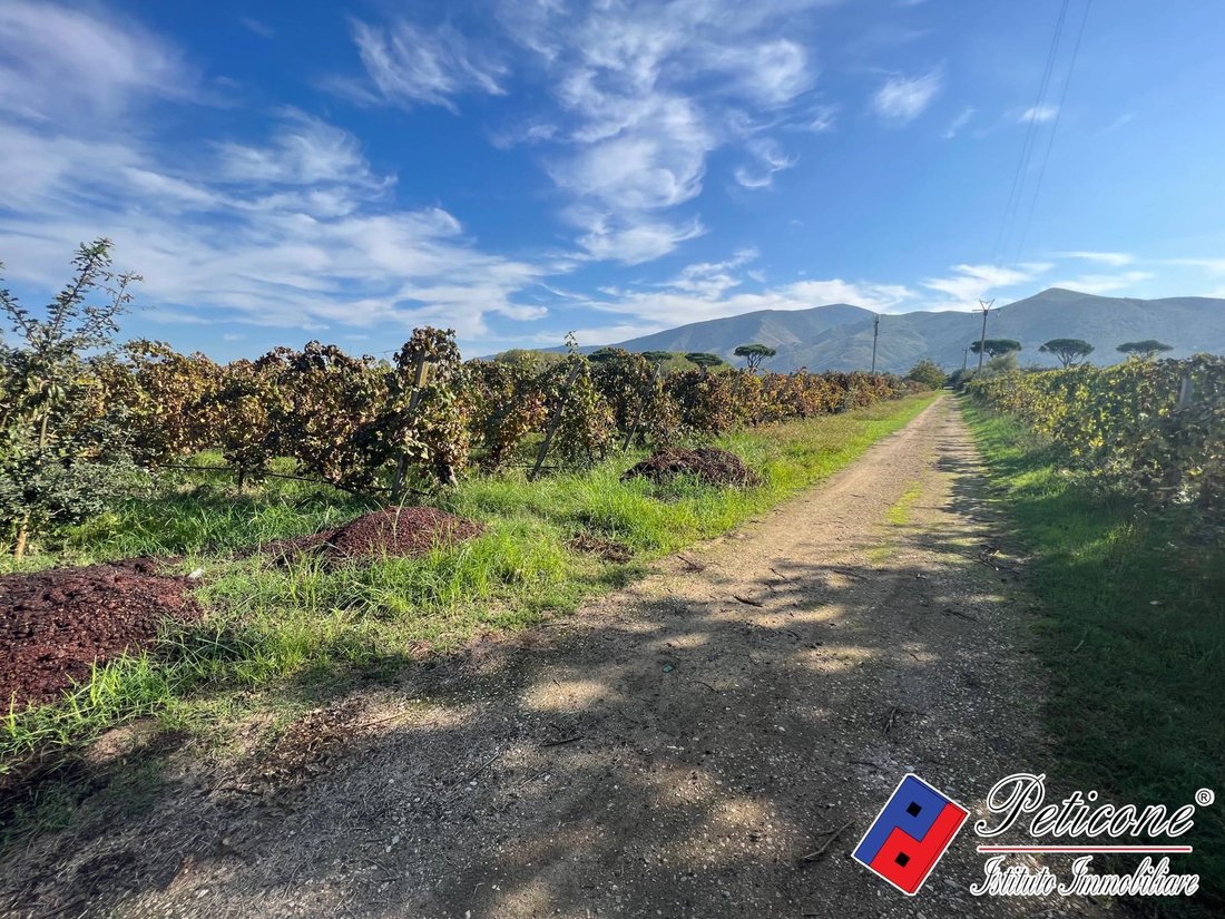 Land in Cellole, Campania, Italy 1 - 14976481