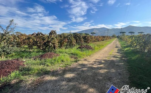 Terreno en Cellole, Campania, Italia 1