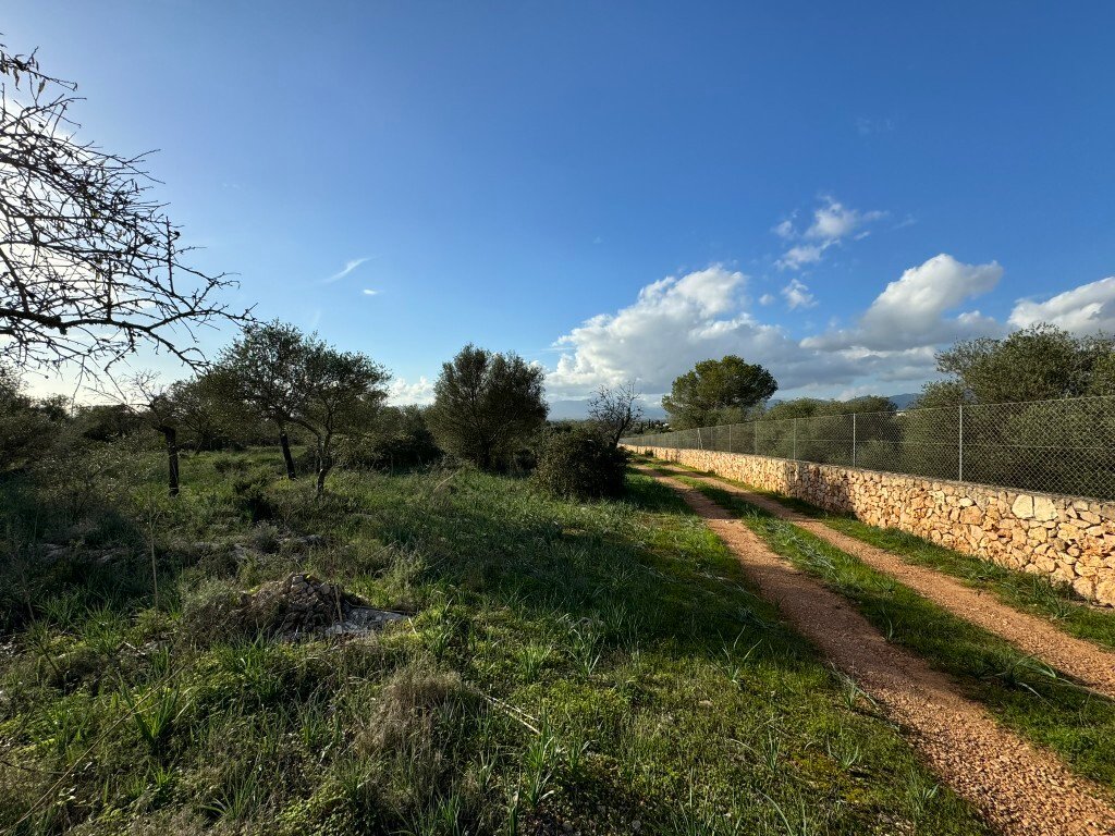 Terrain à Marratxí, Îles Baléares, Espagne 2 - 14974794