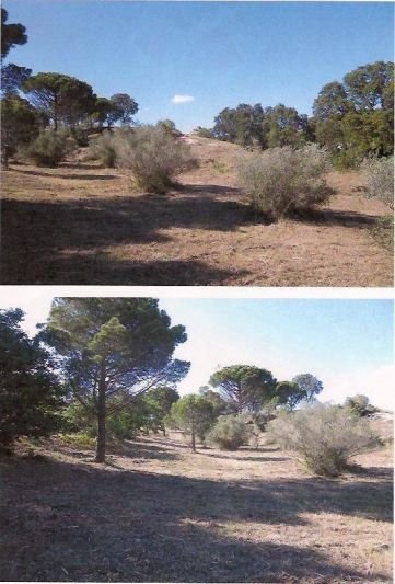 Land in Vilajuiga, Catalonia, Spain 1 - 14977838