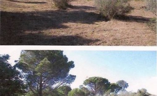 Land in Vilajuiga, Catalonia, Spain 1