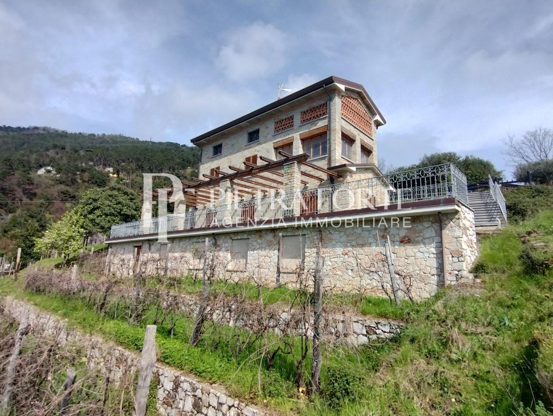 Strettoia-Capezzano-Valdicastello, Pietrasanta, Tuscany 3 - 14627943