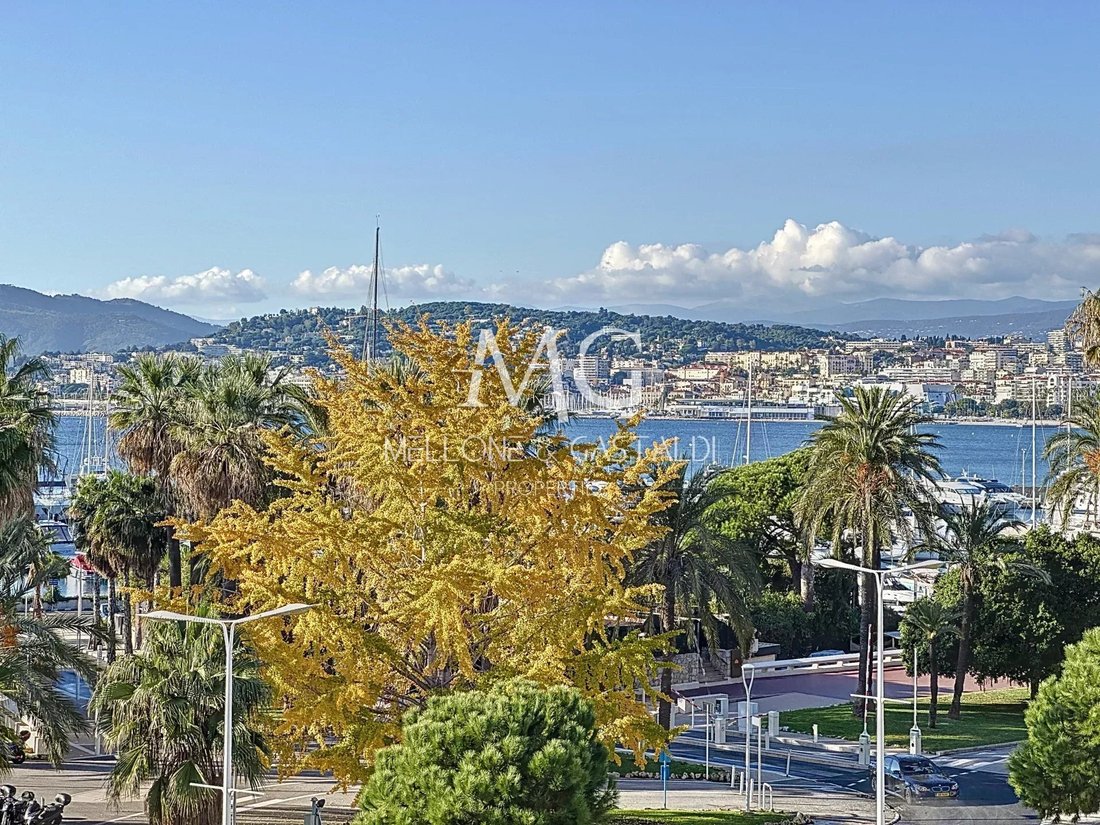 Apartment in Cannes, Provence-Alpes-Côte d'Azur, France 4 - 14915493