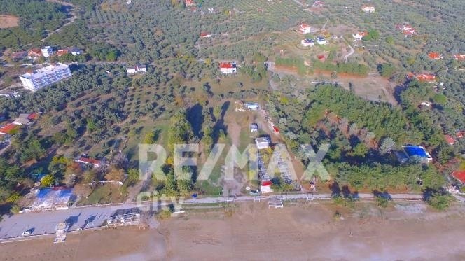 Land in Alexandroupoli, Macedonia and Thrace, Greece 4 - 14976538