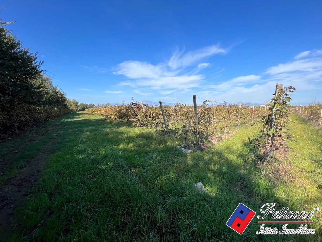 Land in Cellole, Campania, Italy 5 - 14976481