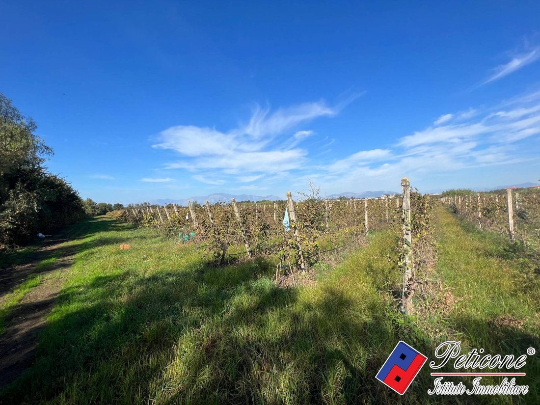 Land in Cellole, Campania, Italy 3 - 14976481