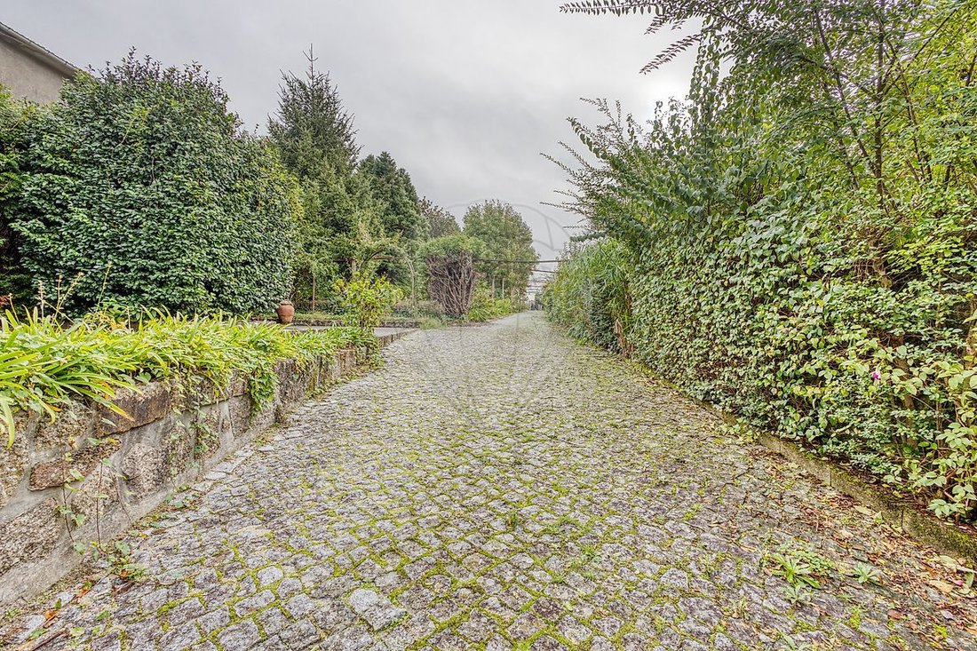 Finca in Paredes, Porto District, Portugal 1 - 14977754