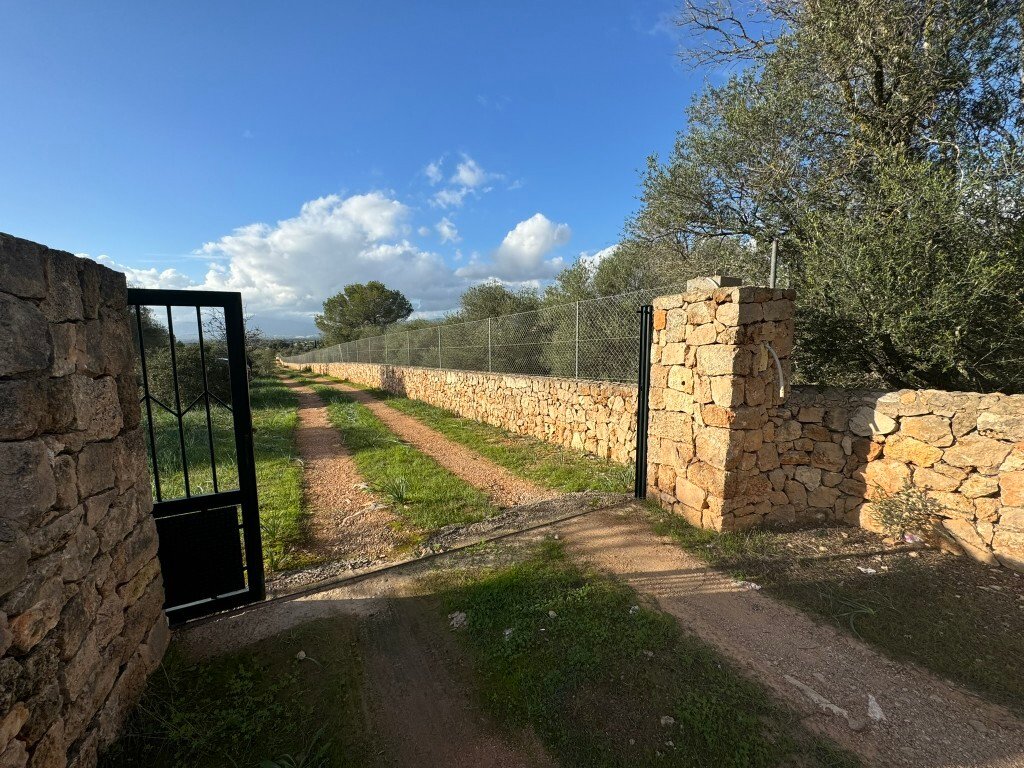 Terrain à Marratxí, Îles Baléares, Espagne 3 - 14974794