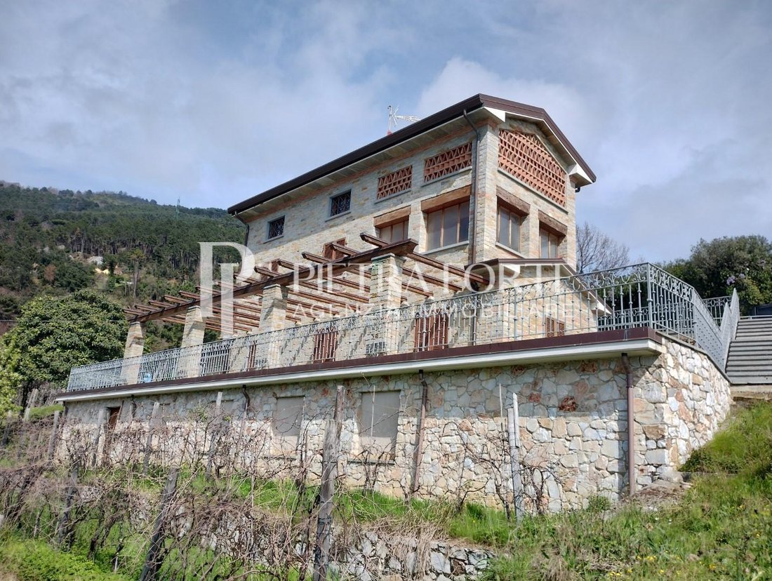 Strettoia-Capezzano-Valdicastello, Pietrasanta, Tuscany 2 - 14627943