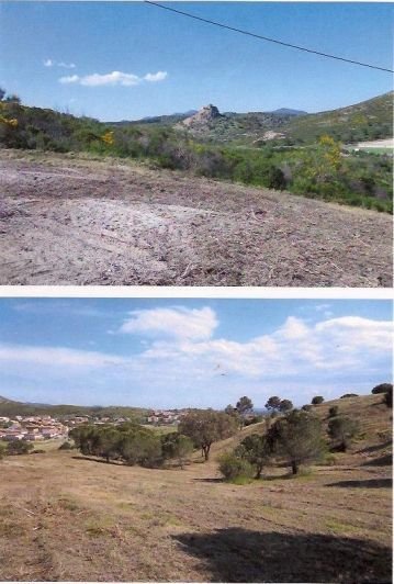 Land in Vilajuiga, Catalonia, Spain 4 - 14977838