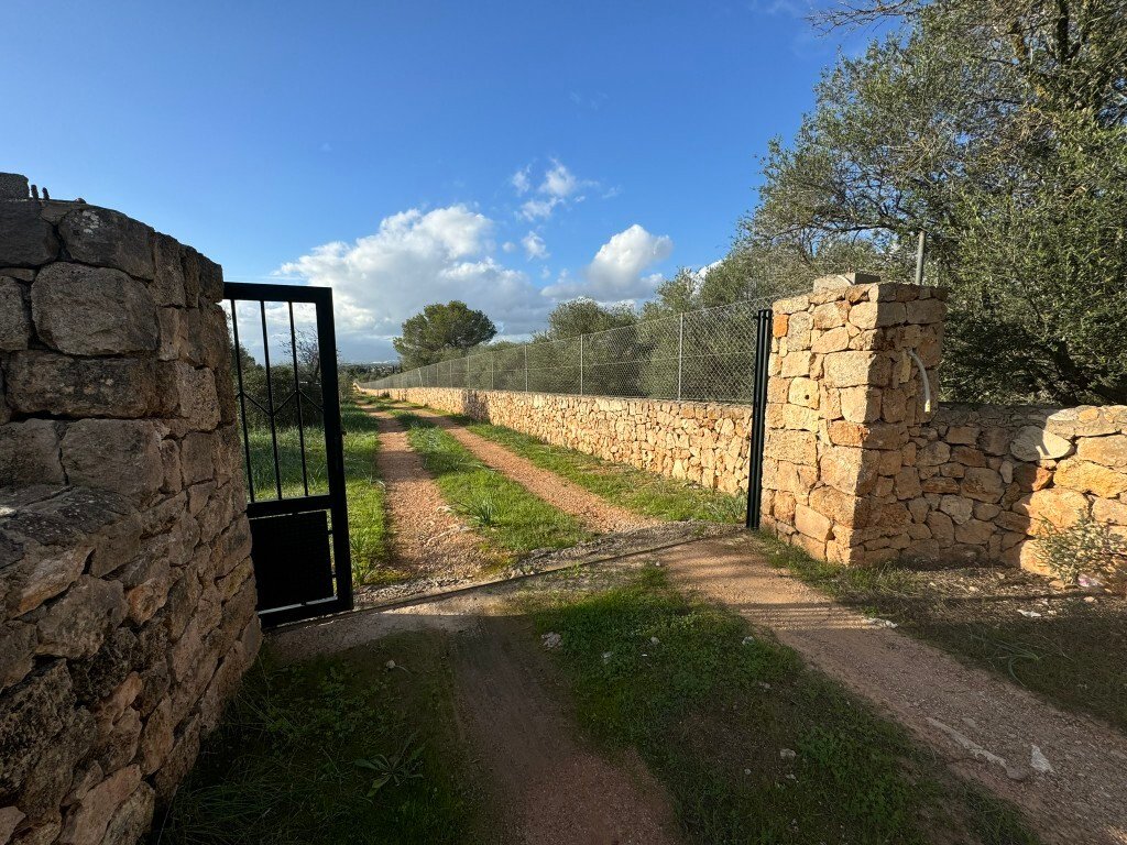 Terrain à Marratxí, Îles Baléares, Espagne 4 - 14974794