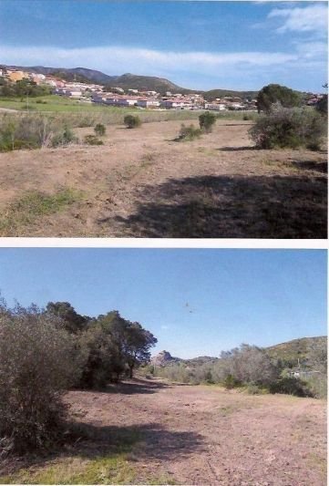 Land in Vilajuiga, Catalonia, Spain 2 - 14977838