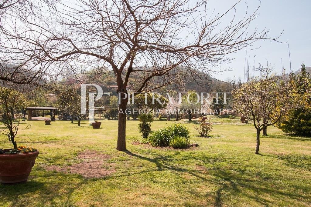 Country House in Strettoia-Capezzano-Valdicastello, Pietrasanta, Tuscany 3 - 14627931