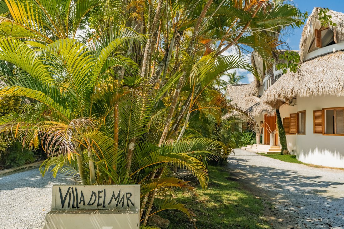 House in Las Terrenas, Dominican Republic 4 - 14956919