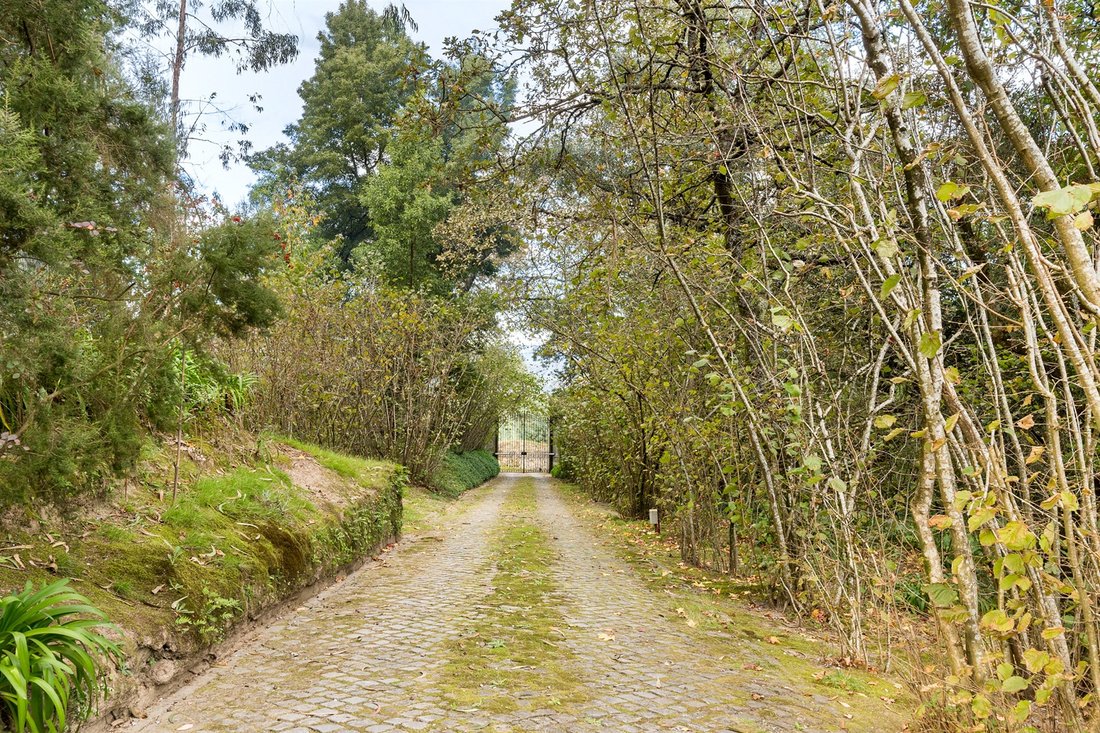 Farm Ranch in Braga (Maximinos, Se e Cividade), Braga, Portugal 5 - 14980223