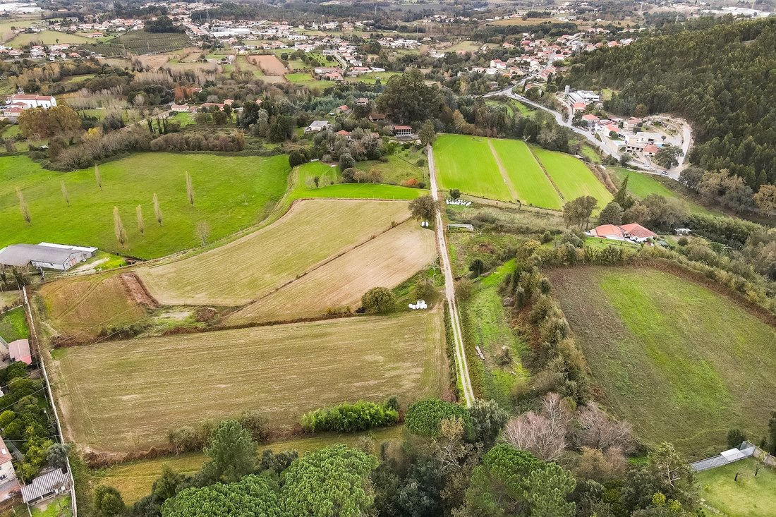 Farm Ranch in Braga (Maximinos, Se e Cividade), Braga, Portugal 3 - 14980223