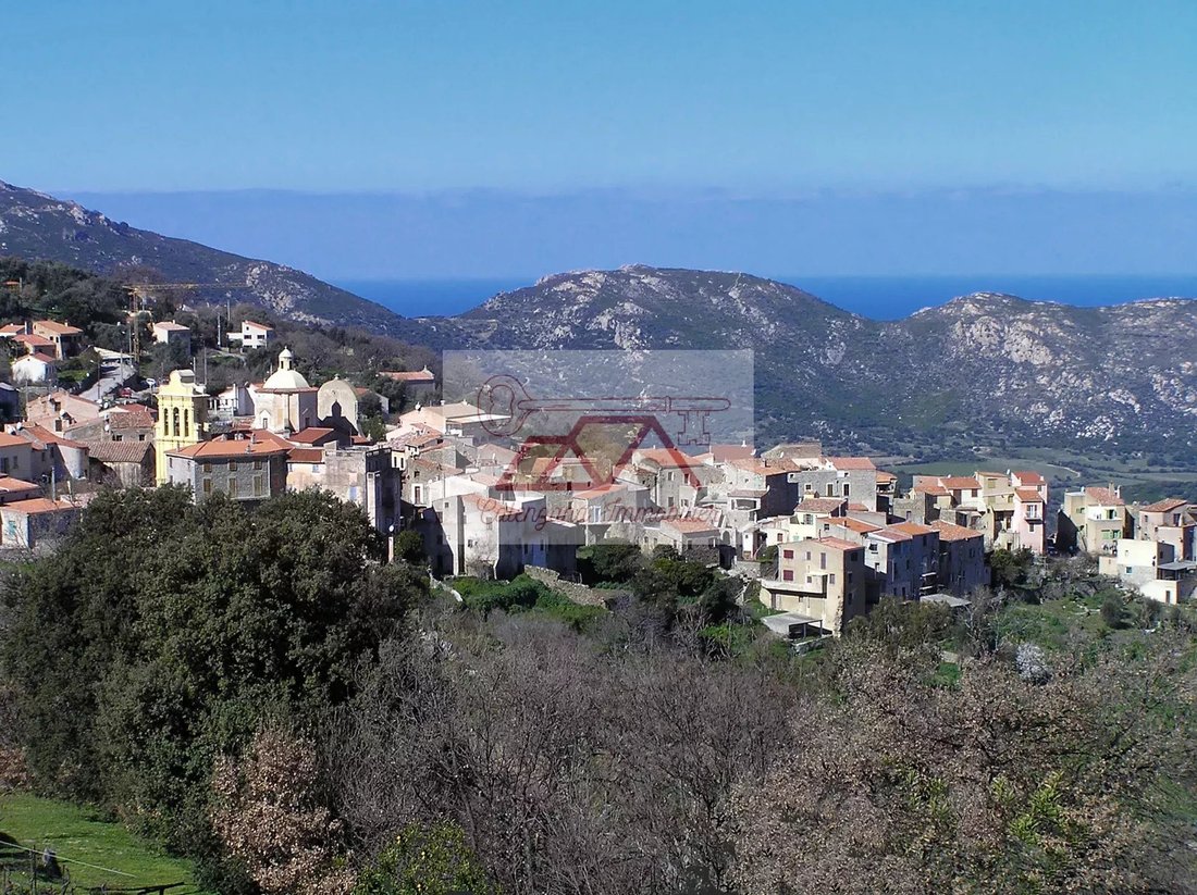 Land in Cateri, Corsica, France 1 - 13888358