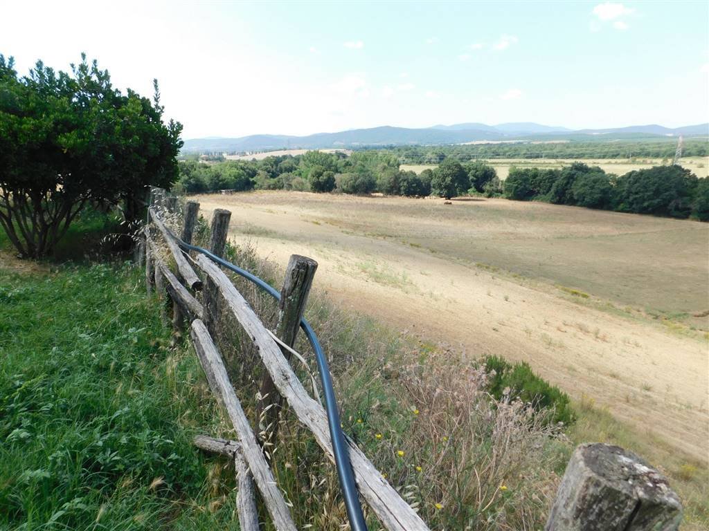 Gavorrano, Tuscany, Italy 5 - 14980731