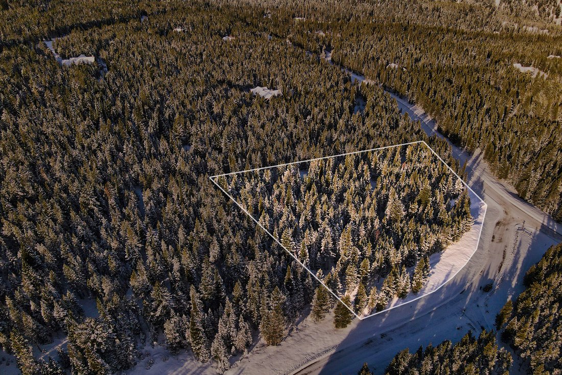 Land in Gallatin Gateway, Montana, United States 5 - 14981443
