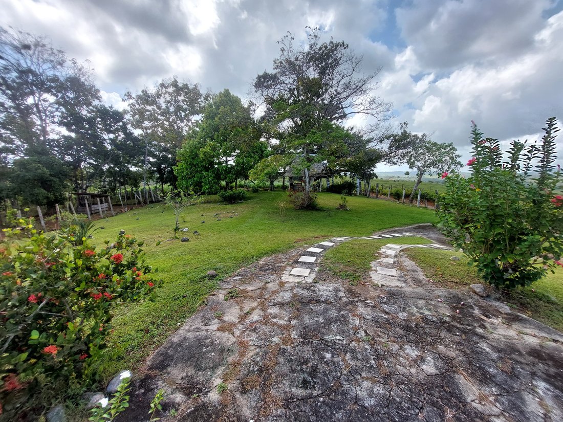 Farm Ranch in La Chorrera, Panama, Panama 2 - 14984352