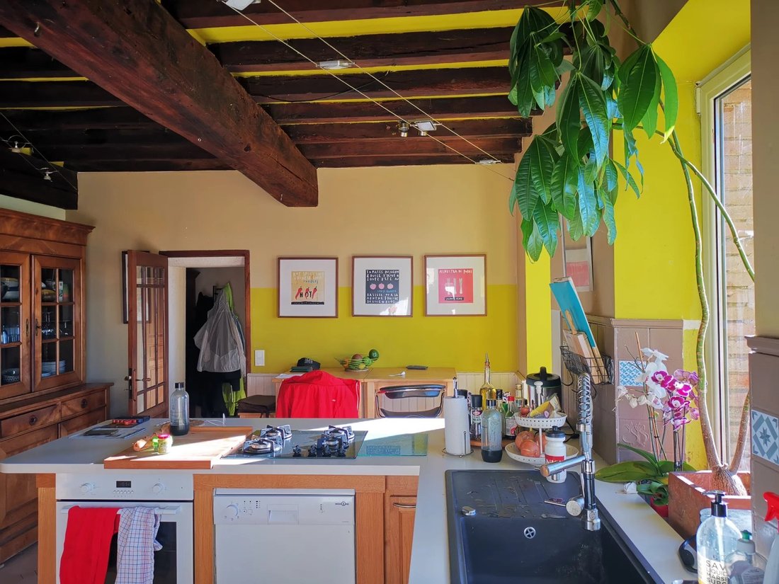 Country House in Rieumes, Occitania, France 5 - 14983176