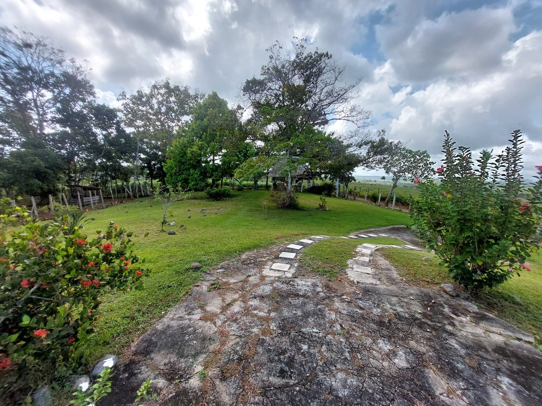 Farm Ranch in La Chorrera, Panama, Panama 4 - 14984352