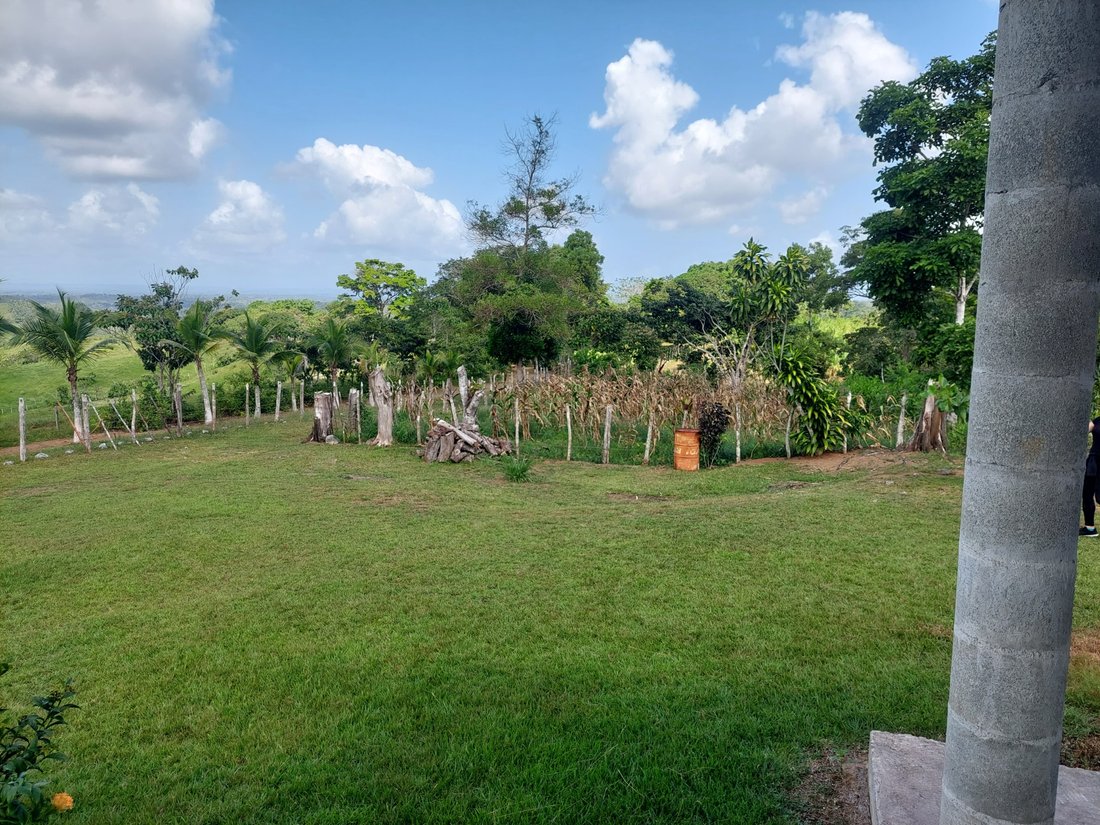 Farm Ranch in La Chorrera, Panama, Panama 1 - 14984352