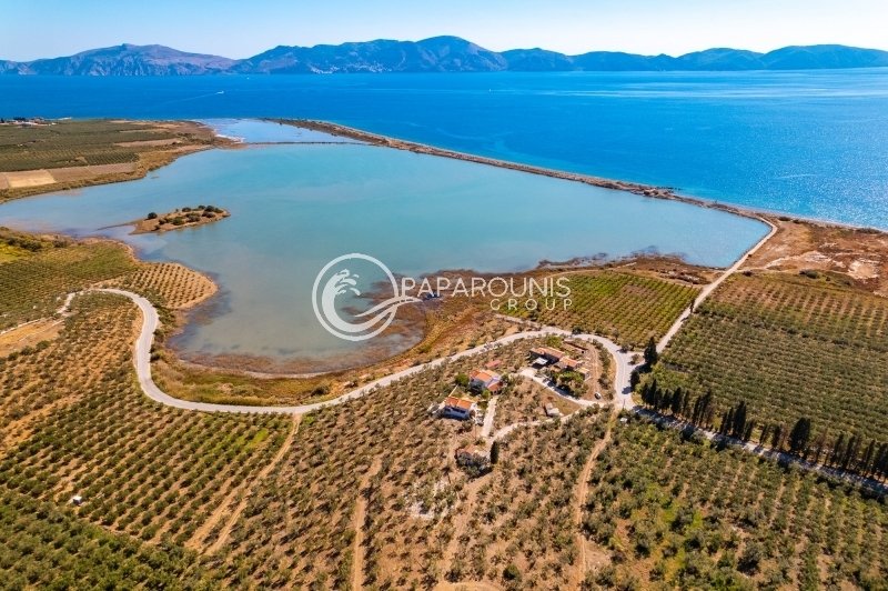 Land in Koinotita Thermisias, Ermioni, Greece 2 - 14986883