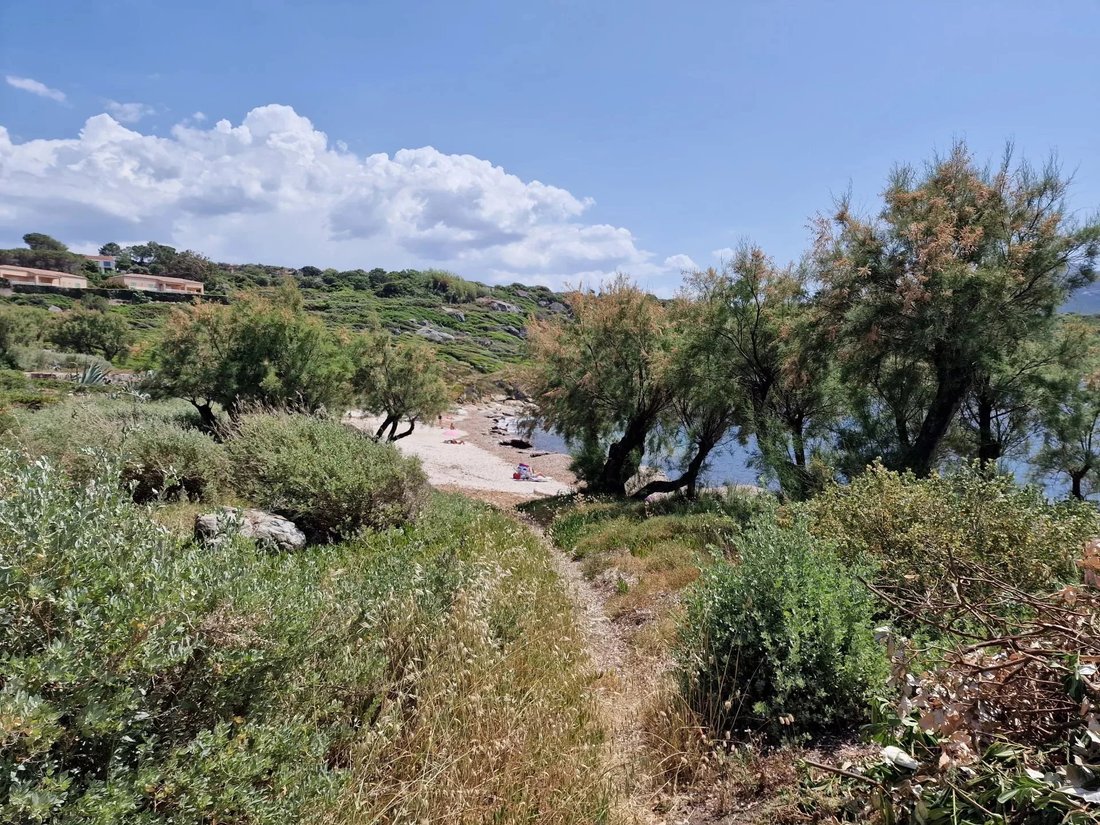 Villa in Corbara, Corsica, France 5 - 14986765