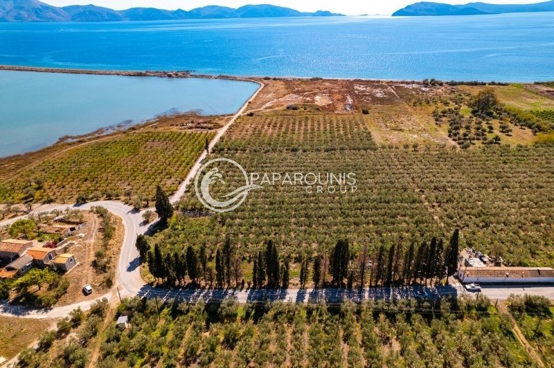 Land in Koinotita Thermisias, Ermioni, Greece 5 - 14986875