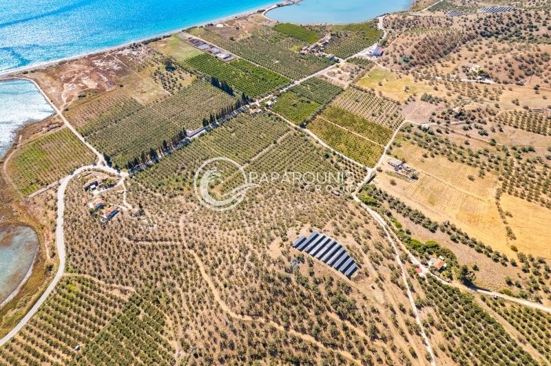 Land in Koinotita Thermisias, Ermioni, Greece 3 - 14986875