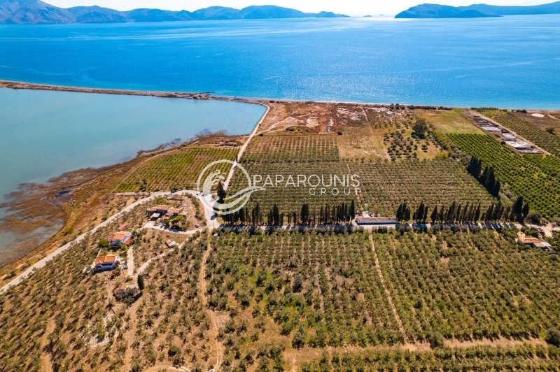 Land in Koinotita Thermisias, Ermioni, Greece 1 - 14986883