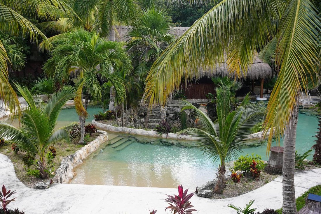 Akumal, Quintana Roo, Mexico 5 - 14988748