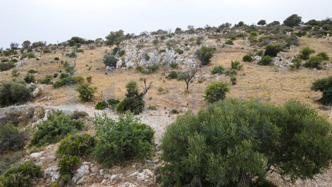 Land in Center, Noto, Sicily 3 - 14994229