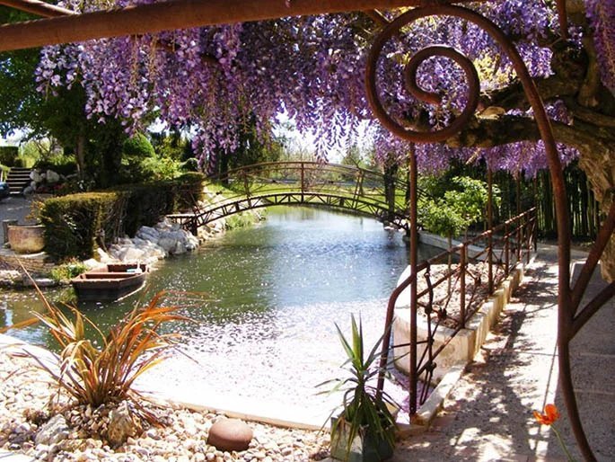 Estate in Jonzac, Nouvelle-Aquitaine, France 5 - 14438007