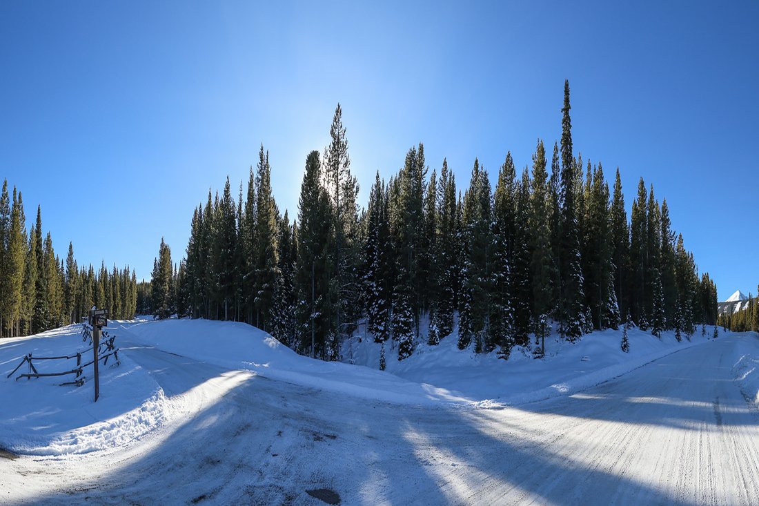 Land in Gallatin Gateway, Montana, United States 3 - 14981443