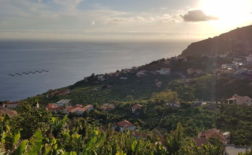 Townhouse in Arco da Calheta, Madeira, Portugal 1