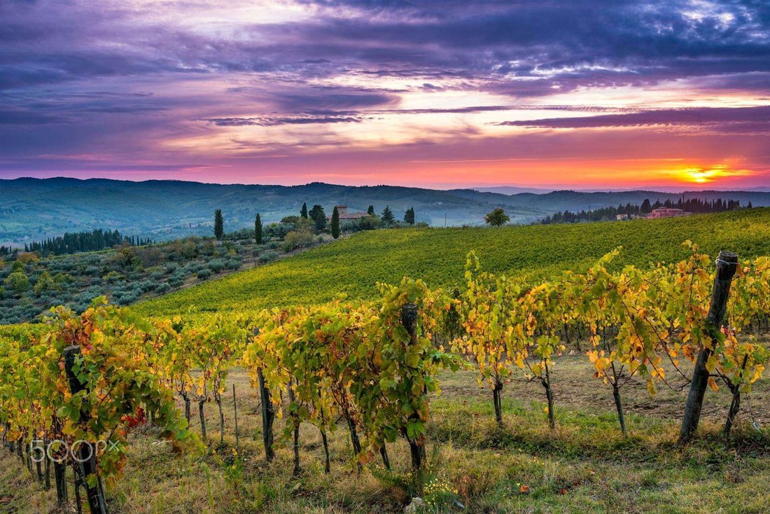 Italy Chianti Classico Winery Ideal As In Casa Vannini, Tuscany, Italy ...