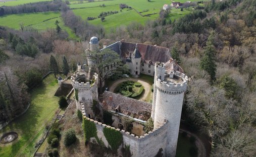 Castle for Sale in Veauce, Auvergne-Rhône-Alpes, France