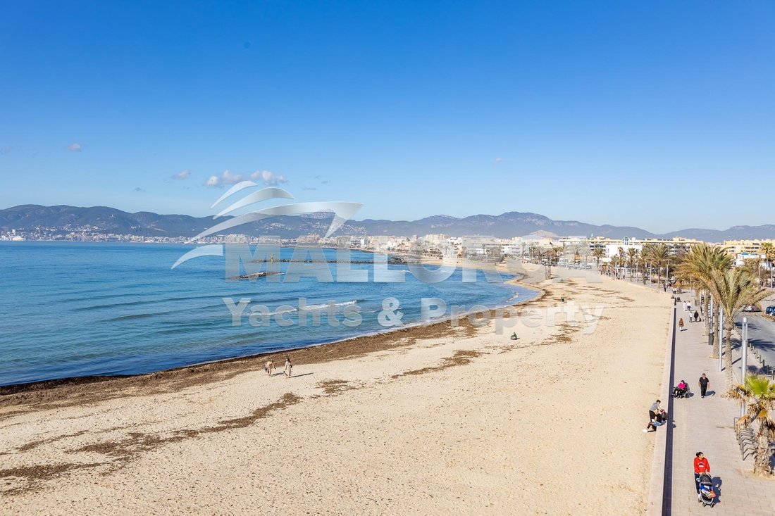 Apartment in Palma, Balearic Islands, Spain 4 - 14994393