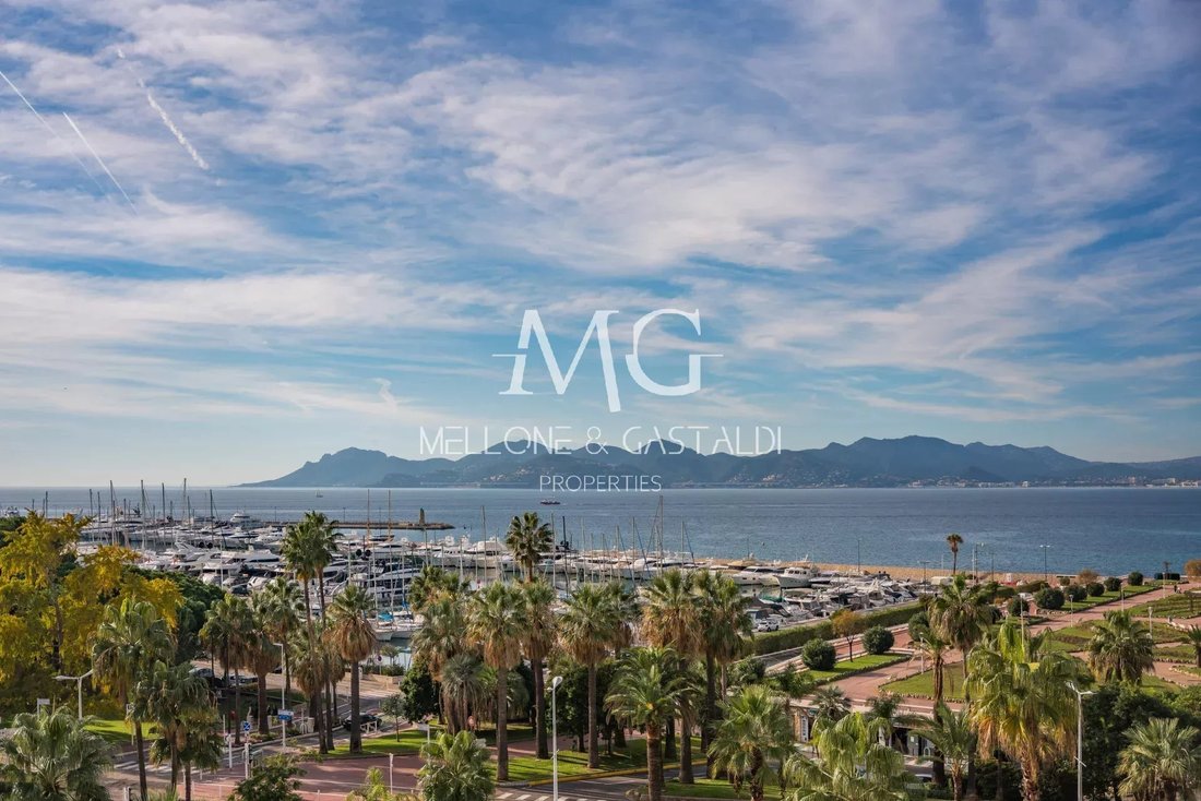 Apartment in Cannes, Provence-Alpes-Côte d'Azur, France 1 - 14995122