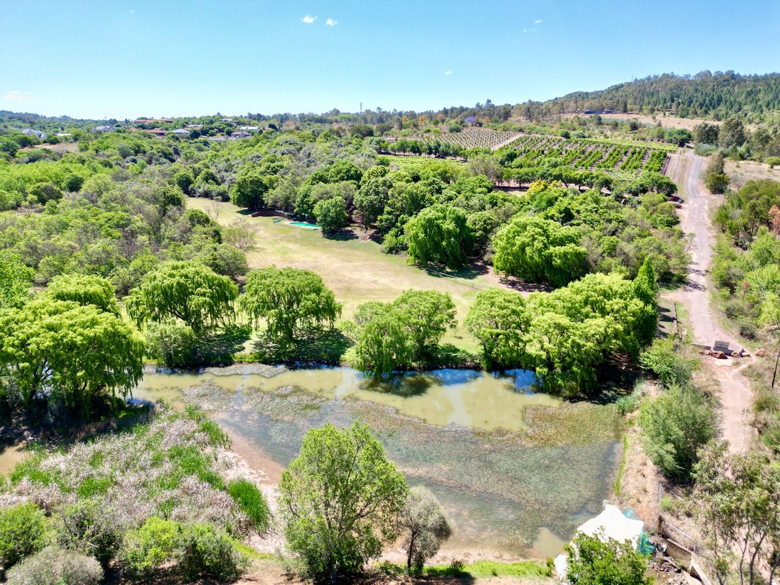 Farm Ranch in Pretoria Central, Gauteng, South Africa 5 - 14996349