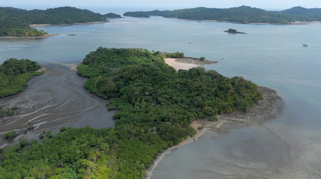 Land in Pedro González, Guna Yala Comarca, Panama 2 - 14998917