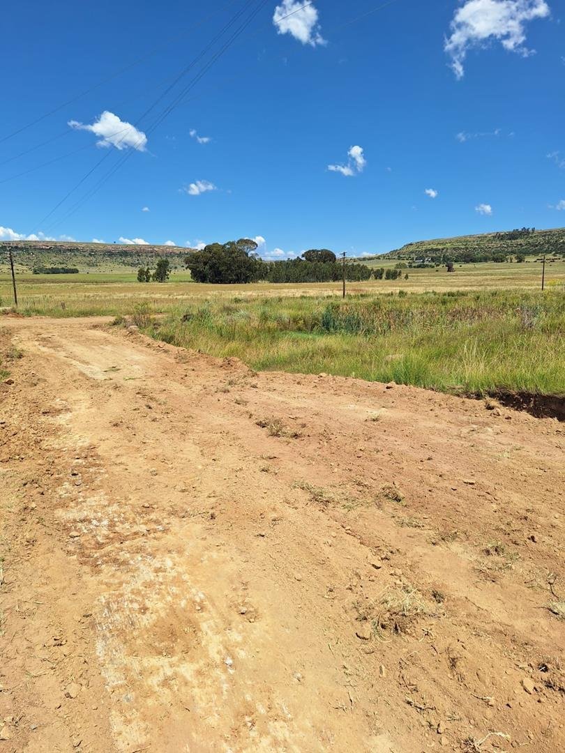 Farm Ranch in Mantsopa Local Municipality, Free State, South Africa 3 - 14995196