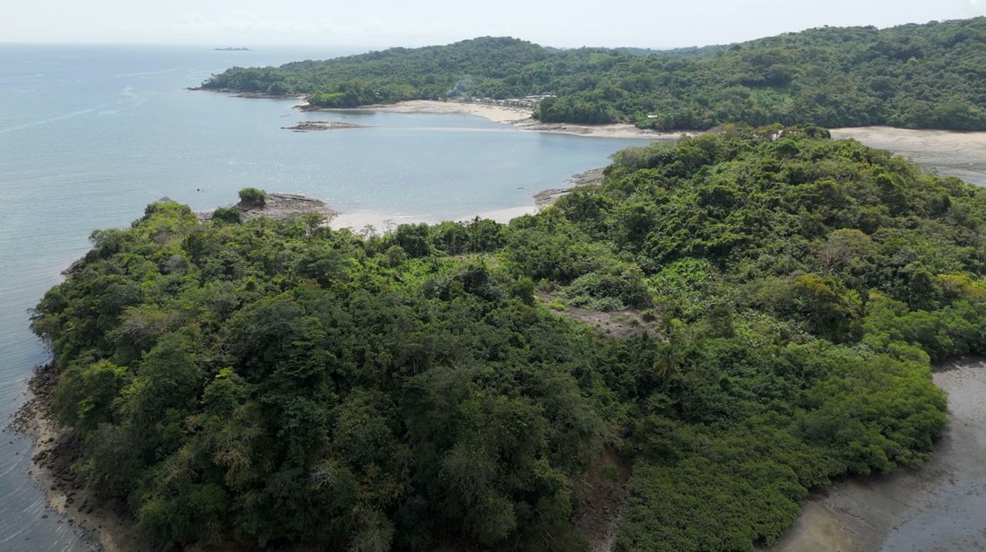 Land in Pedro González, Guna Yala Comarca, Panama 1 - 14998917